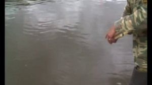 Реверсивный Кораблик "Tosya" управление реверсом