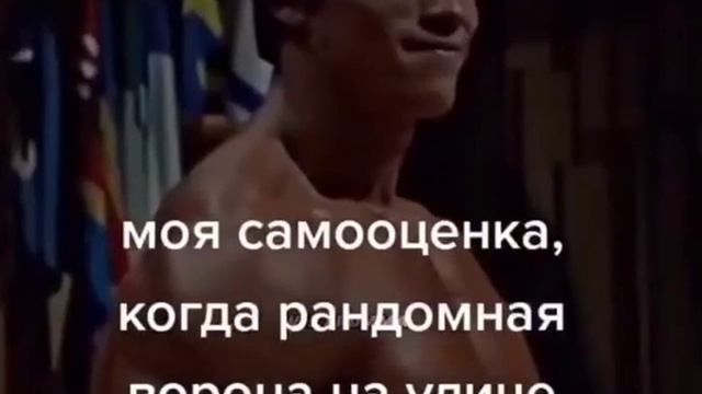 ПОВ: