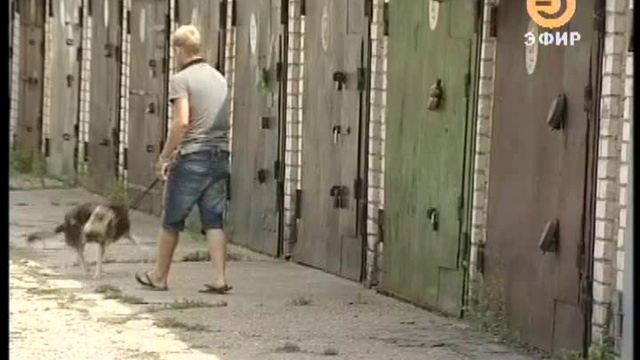 Жестокое обращение с животными в программе «Город» ТК Эфир от 27.07.2011 смотреть онлайн