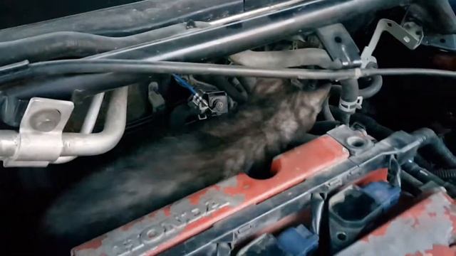 Котэ ремонтирует К20!)