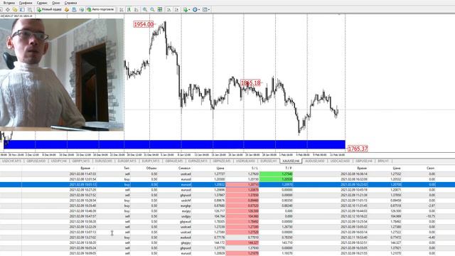 Форекс сигналы на неделю. Прогноз форекс. Прогноз от Forex Panda на неделю 15-19.02.21 смотреть онлайн