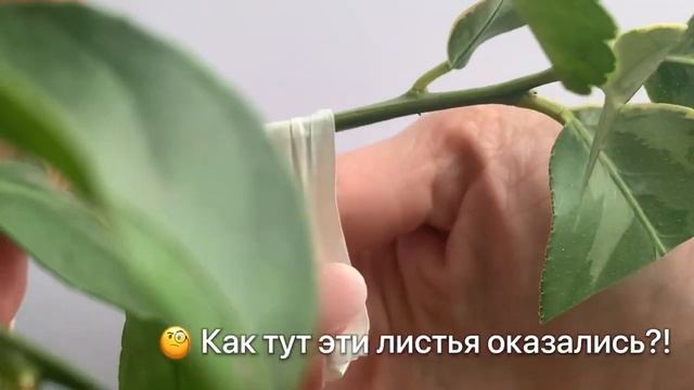 Стройка В Теме