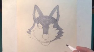 Как нарисовать ВОЛКА. Учим детей рисовать. How to draw a WOLF?