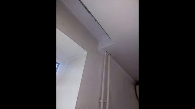 Шпаклёвка и поклейка обоев в Донецке в Кировском районе. смотреть онлайн