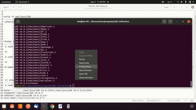 Multi JDK in Linux ubuntu 20 4 смотреть онлайн