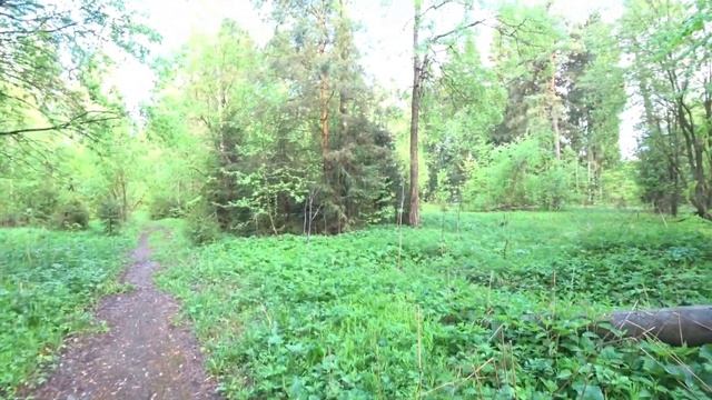 Многодневный велопоход по московской области. День 1 часть 2. смотреть онлайн