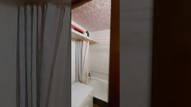 Четырехкомнантная квартира на северо западе Челябинска смотреть онлайн
