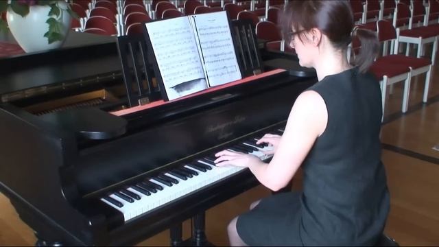 Franz Schubert Walzer h-moll смотреть онлайн