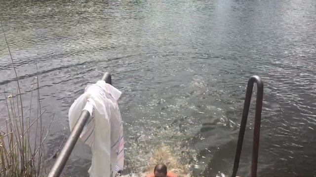 Баня село новая Усмань воронежской области смотреть онлайн