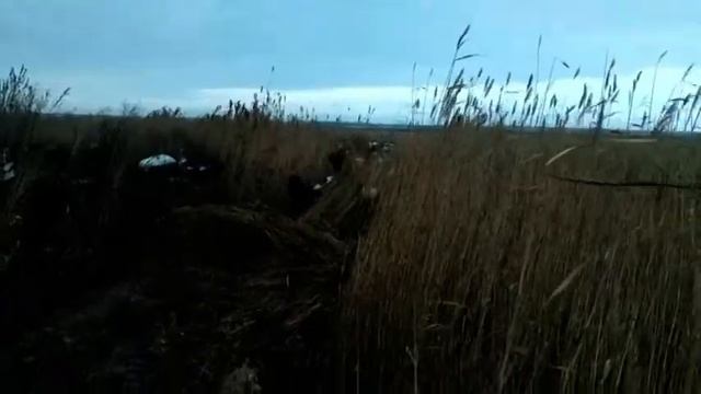 гряземес на квадроциклах 21 10 2018г смотреть онлайн