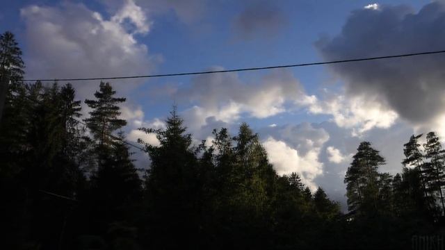 Неделя из жизни Аники на даче | День 3. Среда. смотреть онлайн