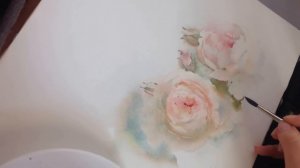 Roses in watercolor: work in progress