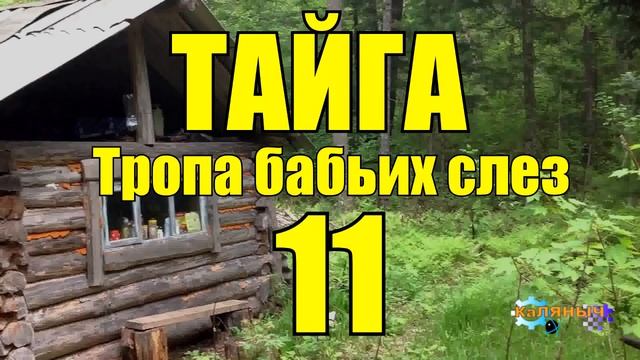 ОТШЕЛЬНИКИ | ЖИЗНЬ В ТАЙГЕ 11 из 16 смотреть онлайн