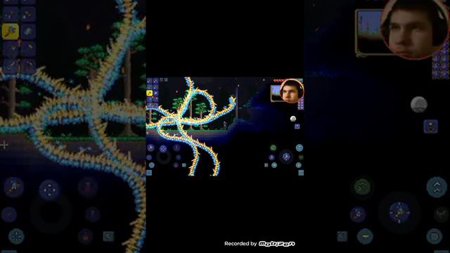 how strong is 100 terraria dragon body parts? смотреть онлайн