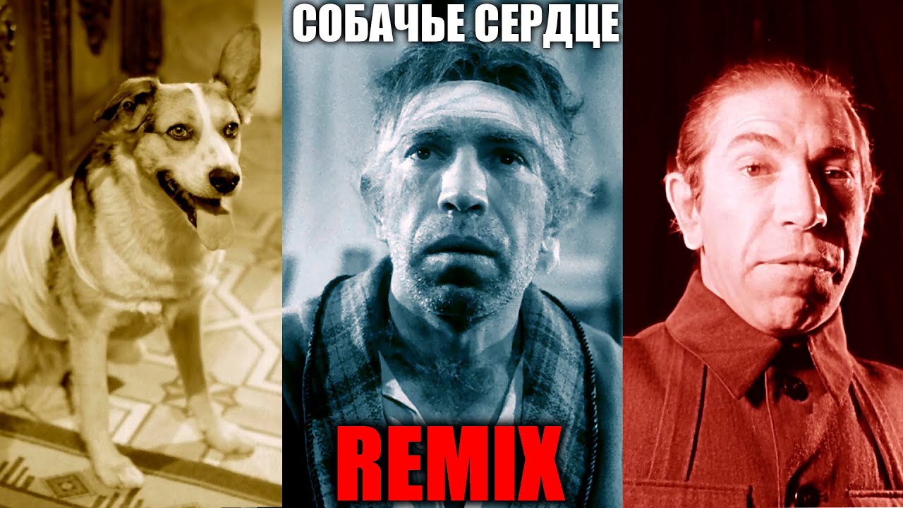 Собачье Сердце. REMIX. смотреть онлайн