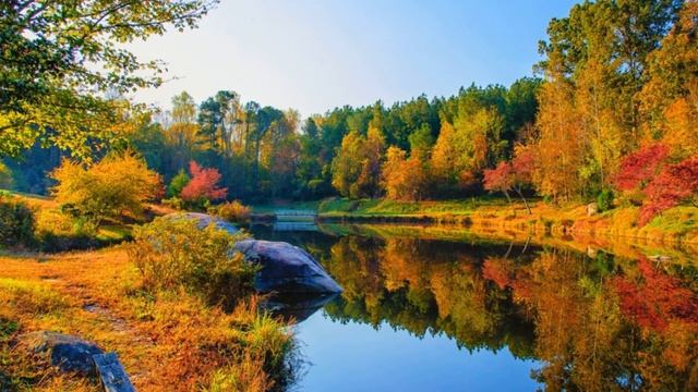 ОБЧИСТИЛА КВАРТИРУ БЫВШЕГО МУЖА, ОН НЕ ПРОСТИЛ. Истории из жизни смотреть онлайн