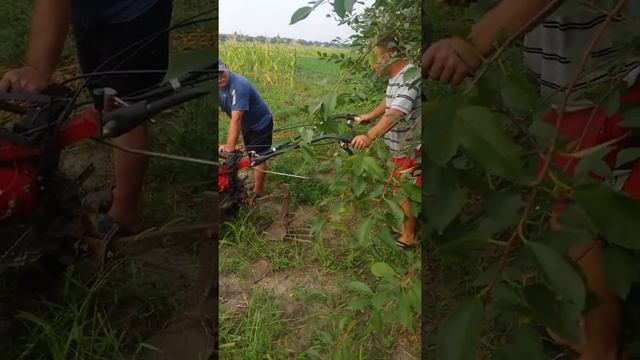 Сломался мотор на мотоблоке не беда!!! смотреть онлайн