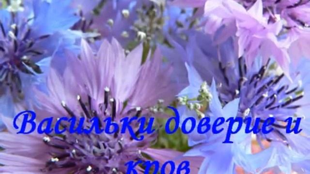 Язык цветов122112 смотреть онлайн