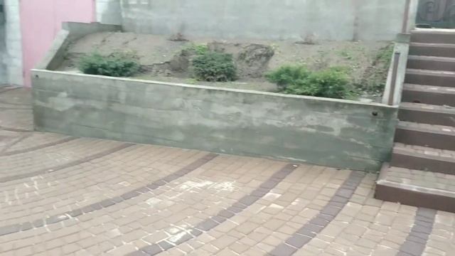 Тротуарная плитка. Заезд в гараж спустя пол года.