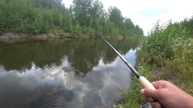 Эта поклёвка сделала всю рыбалку. Фидер в Свердловской области смотреть онлайн