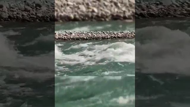 ногайский стих. смотреть онлайн