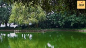 Рассказ мужчины | Измена жены. Застукал жену с любовником. Месть мужа. Реальная история