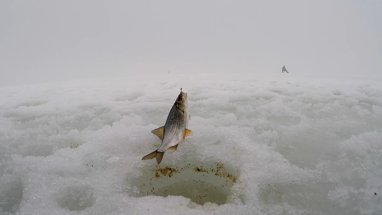 Зимняя рыбалка. Дубовской затон. Самарская область. смотреть онлайн