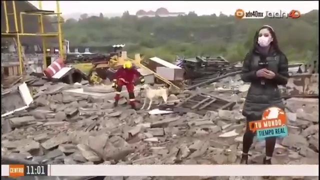 Когда задний фон вытащил весь репортаж ? смотреть онлайн