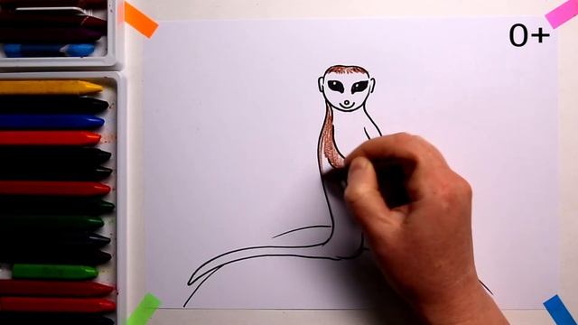 #СУРИКАТ #какнарисовать Уроки Рисования Для Детей #howtodraw #MEERKAT #drawforchildren