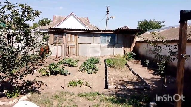 Переехали на Юг//Урожай лука//Щедрые соседи//Огурцы на зиму. смотреть онлайн