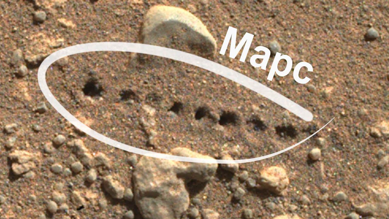 Марсоход Perseverance сфотографировал отверстия на поверхности марсианского грунта смотреть онлайн