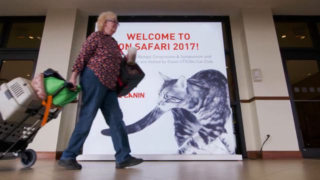 Royal Canin Ring at the Roberts Centre смотреть онлайн