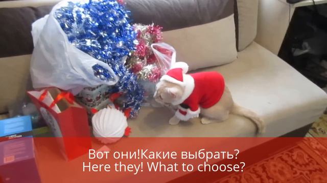 Cat Santa / Кот Санта смотреть онлайн