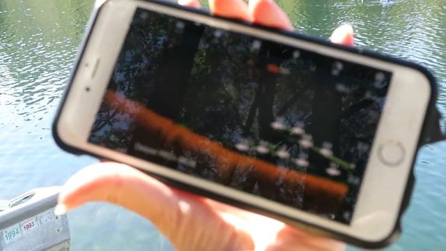This Works !  Fish Finder (Deeper Sonar) + RC Boat!   Fishing Gadget Experiment.