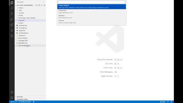 Authorising an Org in VSCode - Lecture #5 смотреть онлайн