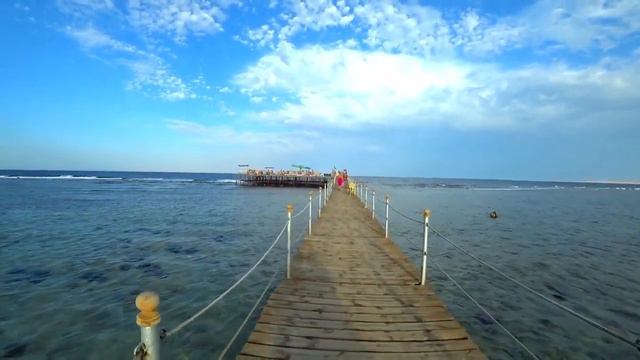 Royal Albatros Moderna 5  обзор отеля  Отдых в Египте  Роял альбатрос модерна 5  Шарм эль шейх 2021