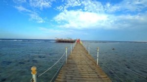 Royal Albatros Moderna 5  обзор отеля  Отдых в Египте  Роял альбатрос модерна 5  Шарм эль шейх 2021