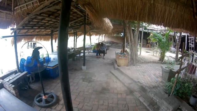 Вьетнам Нячанг 2018.Кафе посредине пруда с лотосами.