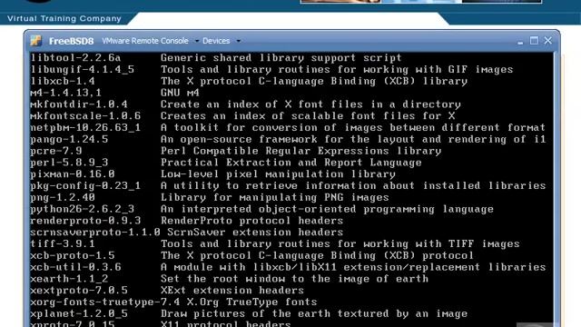 FreeBSD - Managing Packages смотреть онлайн
