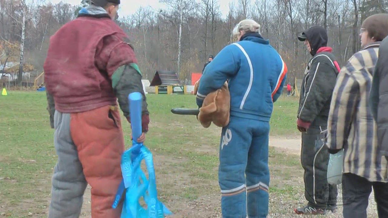 31.10.2020 г. Чемпионат России по АПС. 1 место в АПС - 1 Горшков Василий и Ренард Ричард