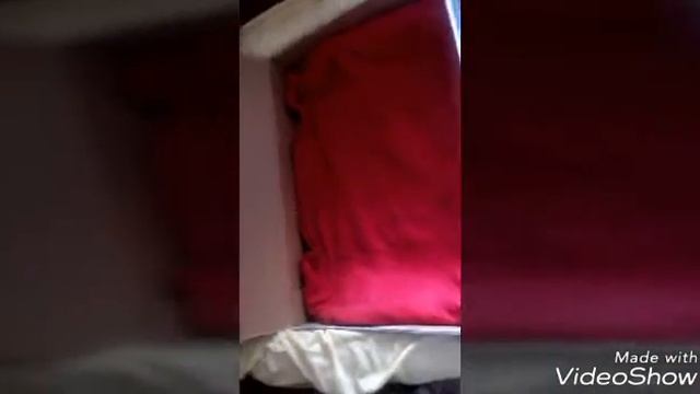 Беременность кошки 49 день (это не точно ) смотреть онлайн