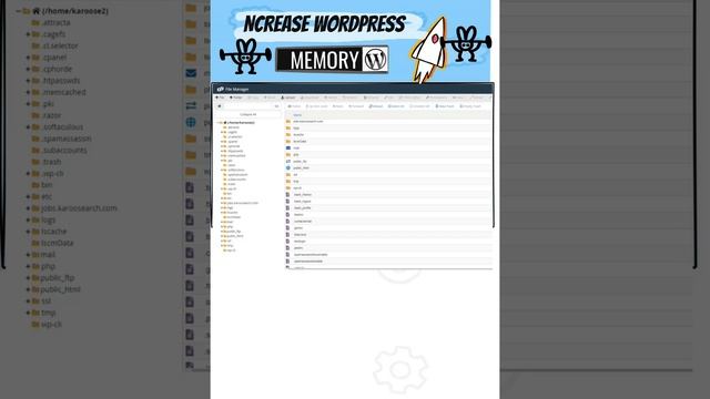 How to increase WordPress memory after Installing a Plugin смотреть онлайн