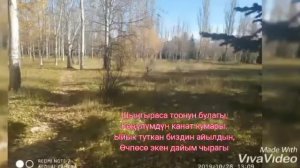 Иссык-Кульская область  Ак-Сууйский район  село Отрадное