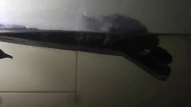 Test tarta panasonic hc-v100 смотреть онлайн