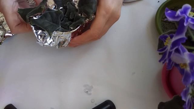 Как оживить фиалку/Спасение фиалки смотреть онлайн