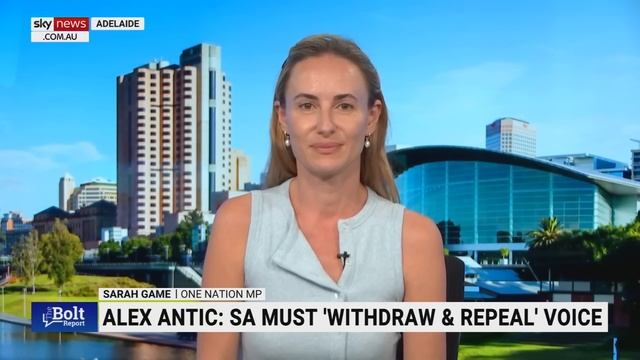 One Nation MP introduces bill to repeal South Australia’s state-based Voice смотреть онлайн