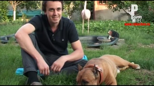 Интервью о Дике: Как учили Дика? Каков характер Дика? Есть ли у Дика потомство? [Рыбачёв и Пёс] смотреть онлайн