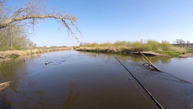 Щука на вертушки весной. Батька Неман, Беларусь смотреть онлайн
