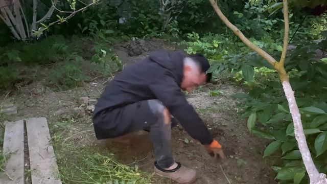 ЗАРОСЛИ ТРАВЫ / УДАЛЯЕМ СОРНЯКИ / НА УДАЧУ / НОСТАЛЬГИЯ / ПЕРЫЙ ГОД / ЖИЗНЬ В ДЕРЕВНЕ / АНАПА смотреть онлайн