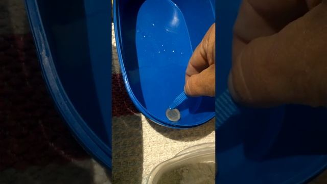 Отмывание евро монет смотреть онлайн